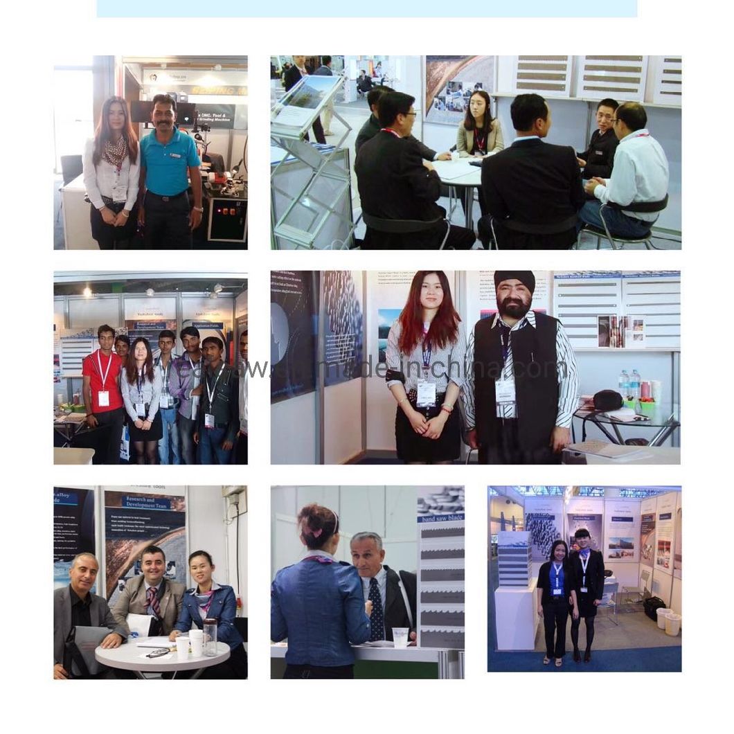 Frozen Meat Bone Cutting Saw Machines in High Performance